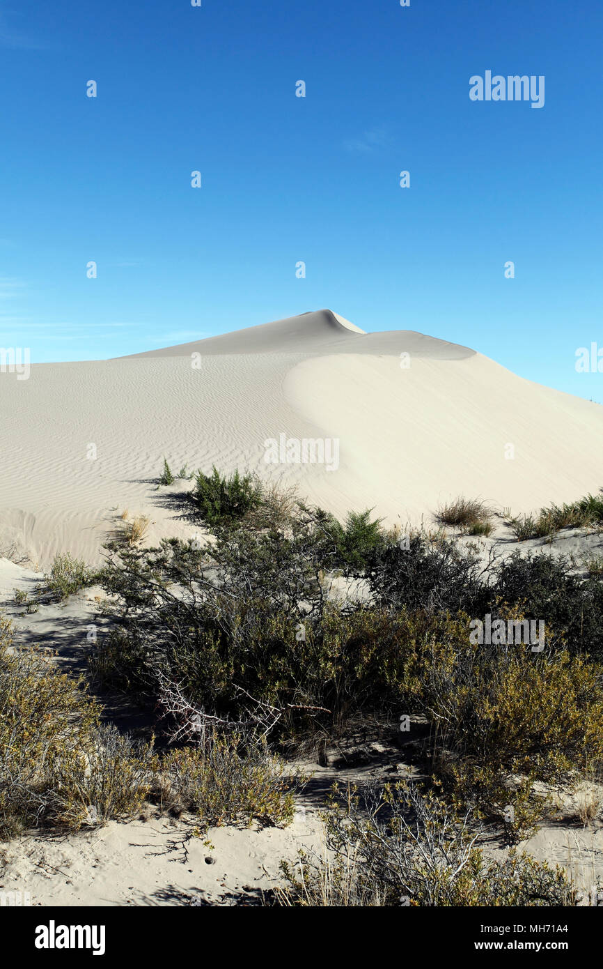 Sand Dünen bei Baliza Acantilado in der Nähe von Punta Cuevas, Puerto Madryn, Chubut, Argentinien. Stockfoto