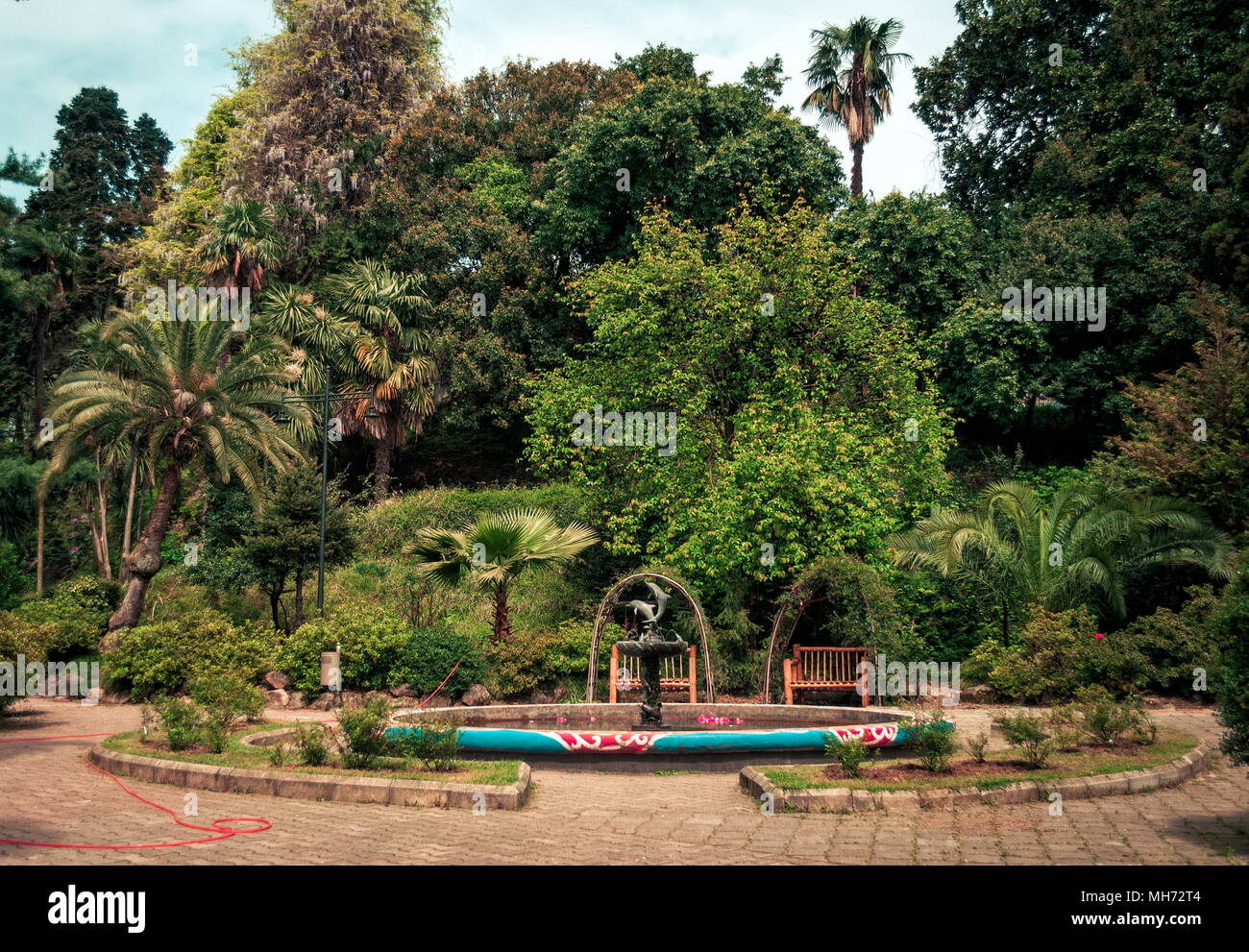 Der botanische Garten in Batumi Georgien Stockfoto