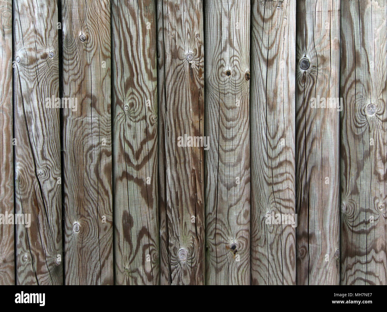 Palisade - Zaun aus Holzpfählen - Holz Textur Stockfoto