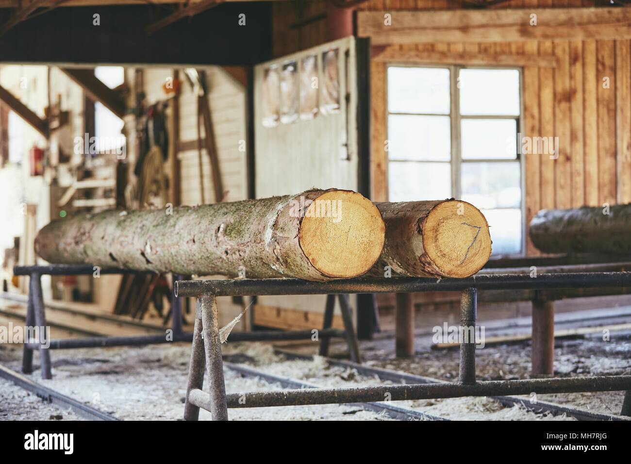 Holzindustrie. Stämme der Bäume bereit zum Schneiden im Sägewerk. Stockfoto