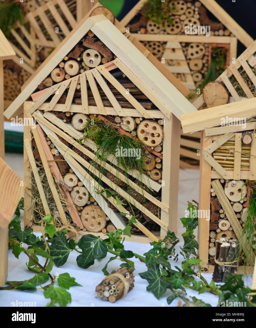 Holz- Hotel für Insekten auf einer Hauswand Stockfoto