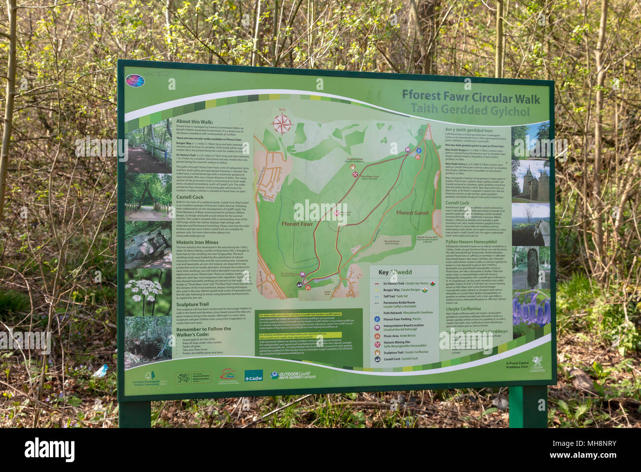 Eine Informationstafel am Castell Coch für die fforest Fawr Rundwanderung über den Trail, Tongwynlais, Wales, Großbritannien Stockfoto