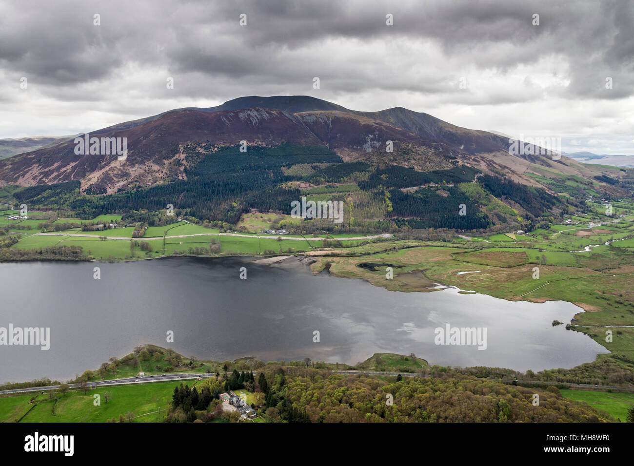Der Blick über Bassenthwaite Lake gegen Skiddaw vom Gebirge von Barf, Lake District, Cumbria, Großbritannien Stockfoto