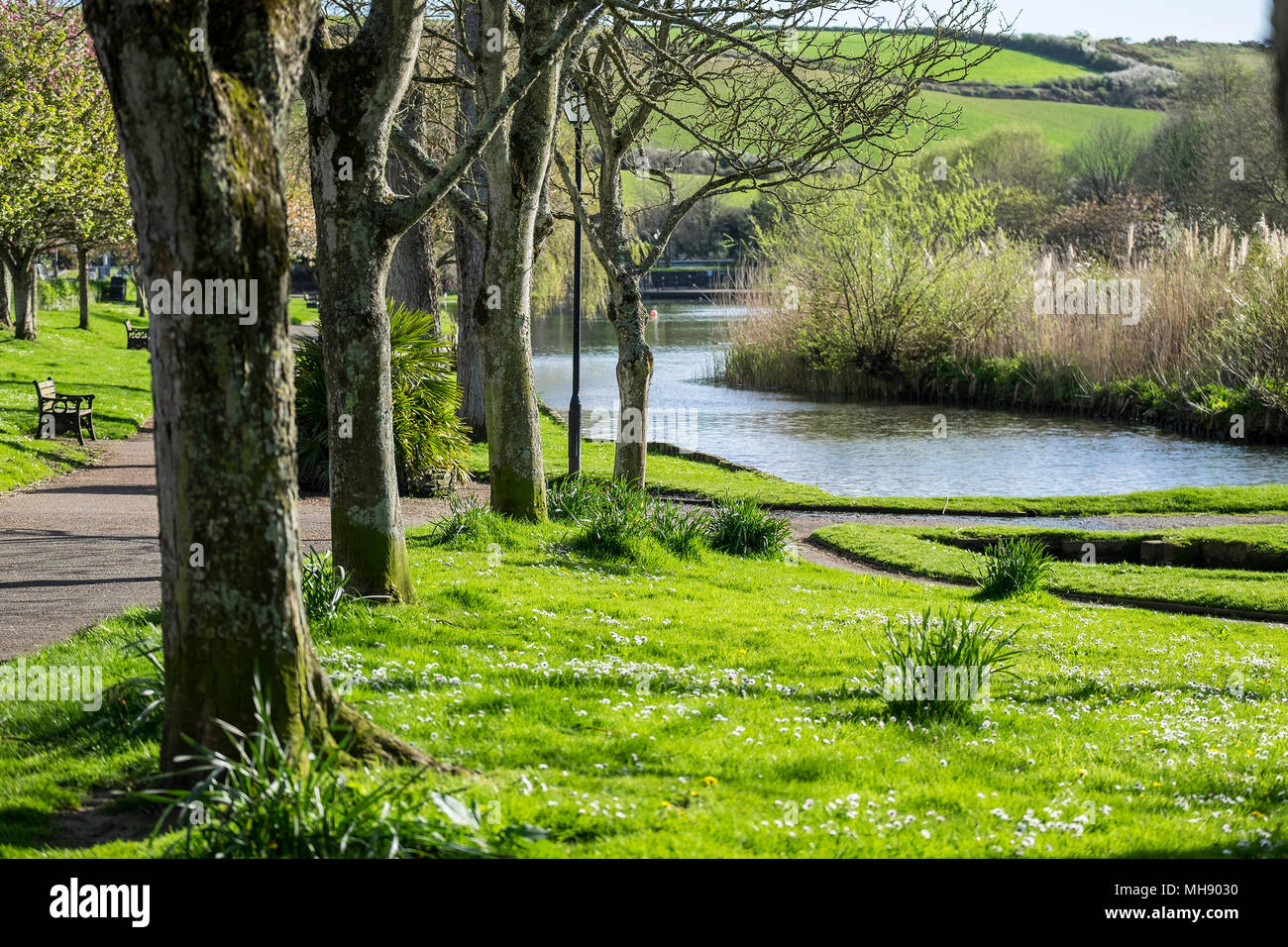 Trenance Park in Newquay in Cornwall. Stockfoto