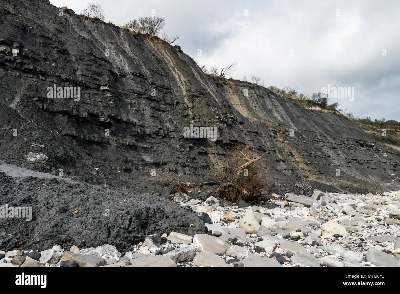 Die Klippen entlang Monmouth Beach, Lyme Regis nach einem Bergsturz durch schwere Feder Regen verursacht Stockfoto