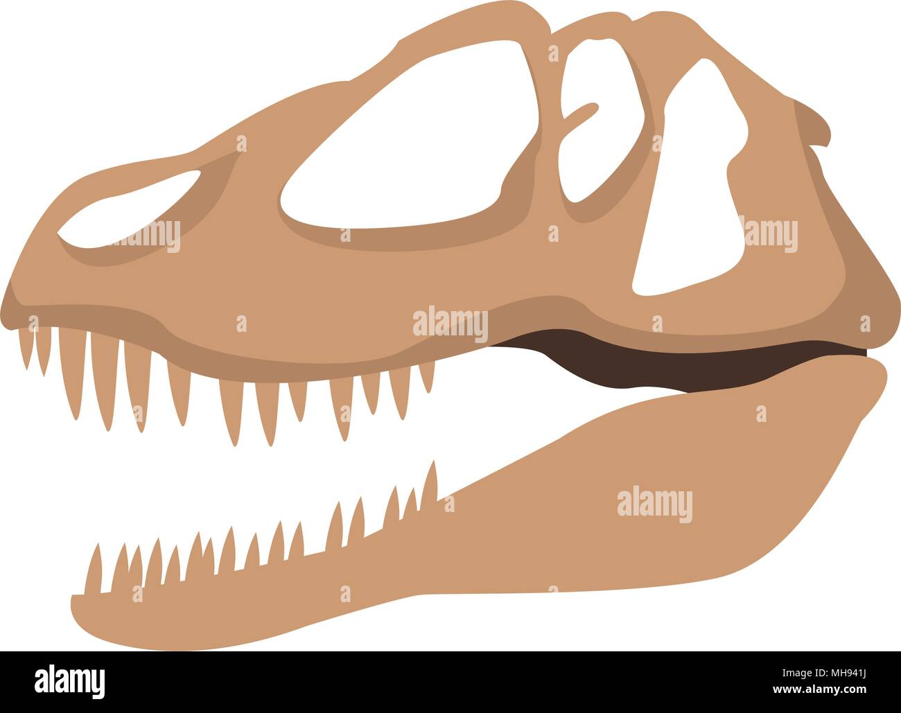 Dinosaurier Schädel isoliert Stock Vektor