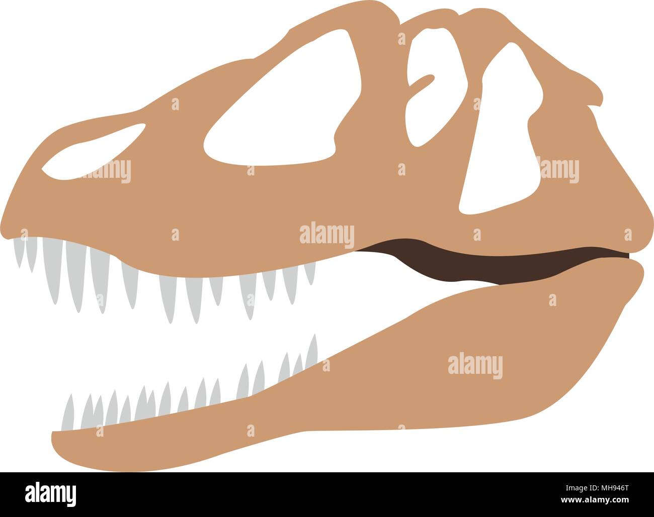 Dinosaurier Schädel isoliert Stock Vektor
