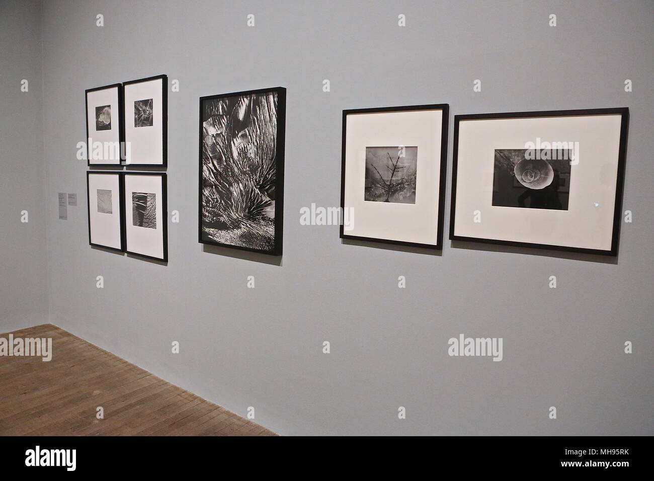 Form des Lichts 100 Jahre Fotografie und abstrakter Kunst 2. Mai - 14. Okt. 2018 Stockfoto