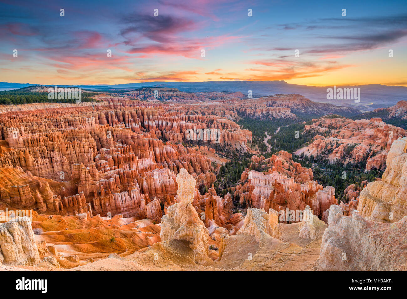 Bryce Canyon National Park, Utah, USA, in der Morgendämmerung. Stockfoto
