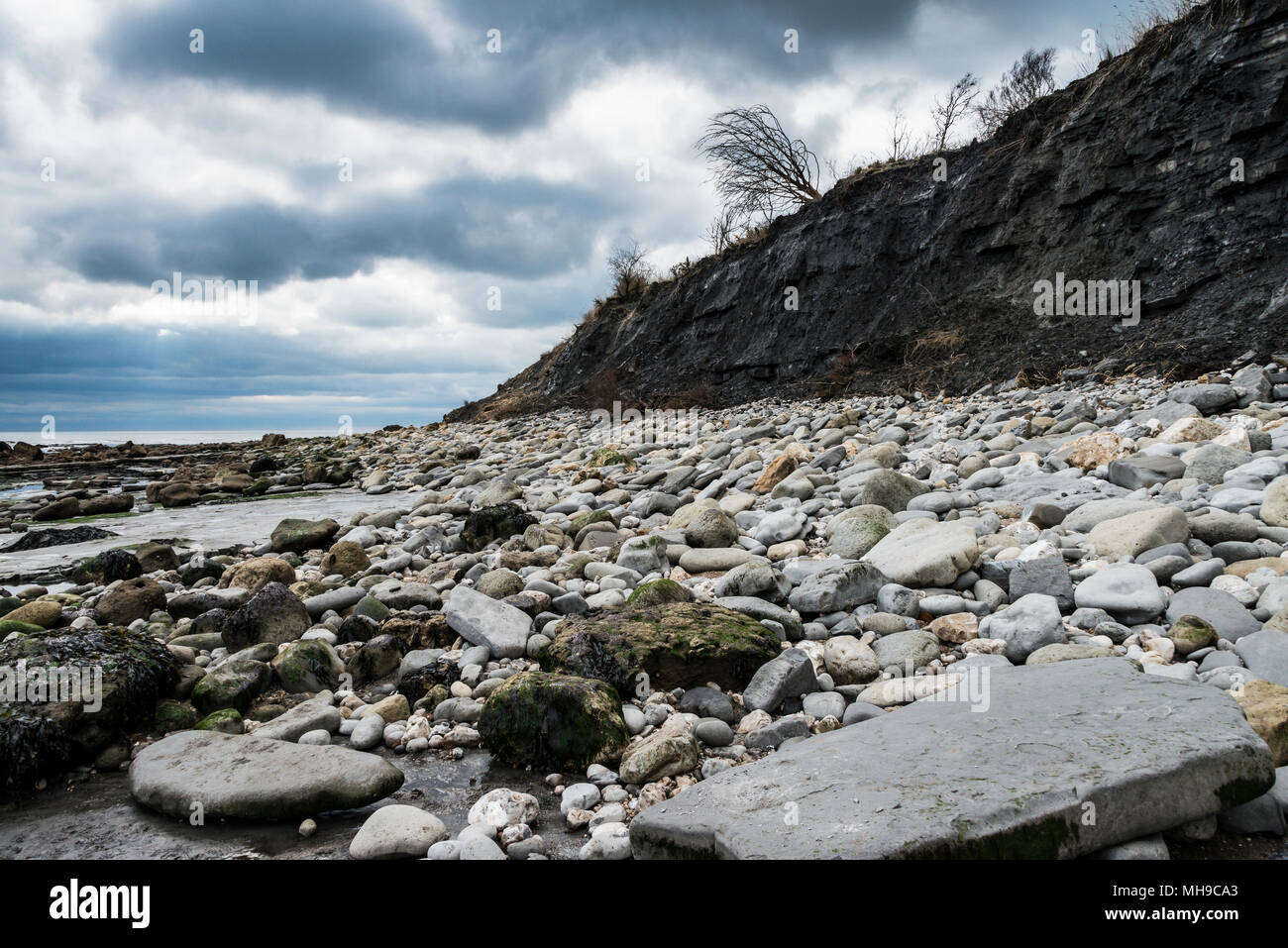 Klippen entlang Monmouth Beach, Lyme Regis Stockfoto