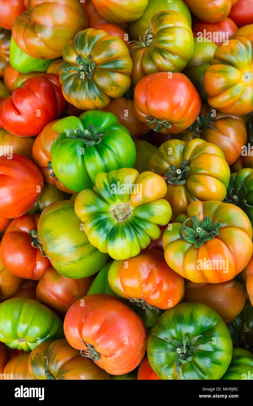 Haufen reif Organische bunte Raf Tomaten bei Farmers Market. Hell leuchtende Farben. Vitamine Superfoods Gesunde Ernährung Konzept. Sonnenlicht Sommer Moo Stockfoto