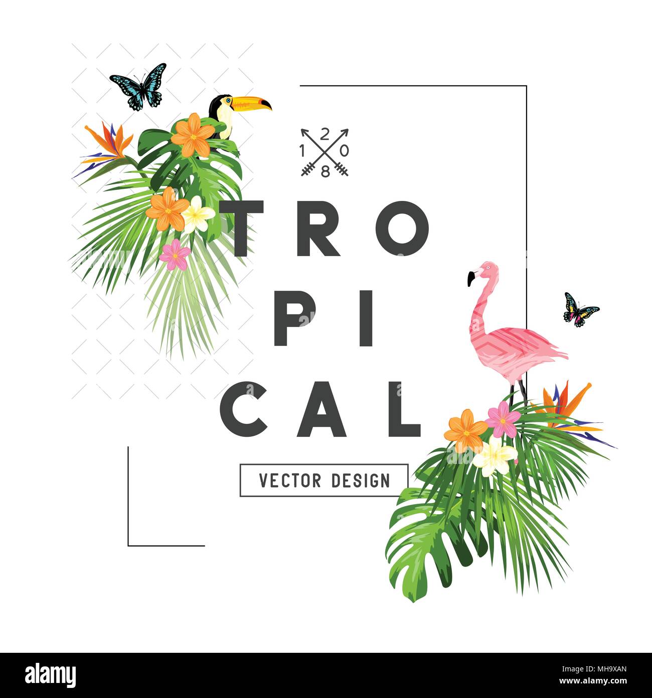Tropischer Regenwald Elemente und den Rahmen mit Palmenblättern, Flora und Fauna. Vector Illustration Stock Vektor