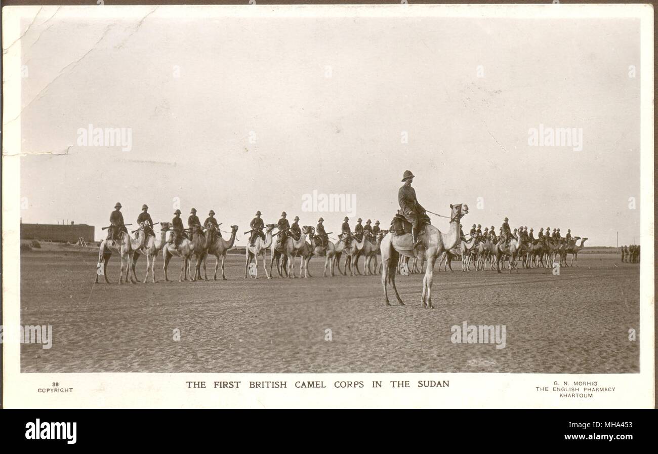 Der erste Britische Camel Corps im Sudan ca. 1915 Stockfoto