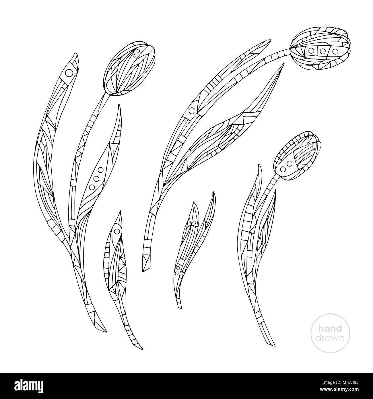 Tulpen-Färbung. Hand abstrakte Blumen Vector Illustration gezeichnet. Stock Vektor