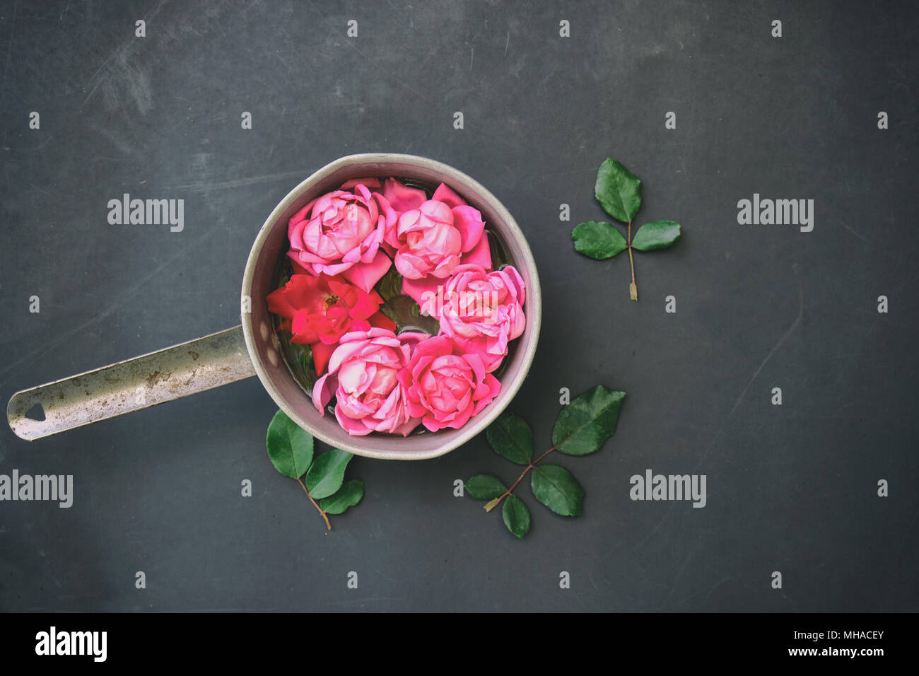 Romantisch rosa Rose Bild zeigt Rosen als Blumenschmuck gegen Vintage schwarzen Hintergrund. Stockfoto