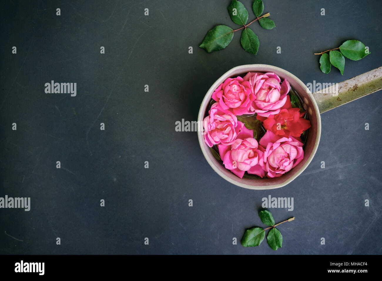 Romantisch rosa Rose Bild zeigt Rosen als Blumenschmuck gegen Vintage schwarzen Hintergrund. Stockfoto