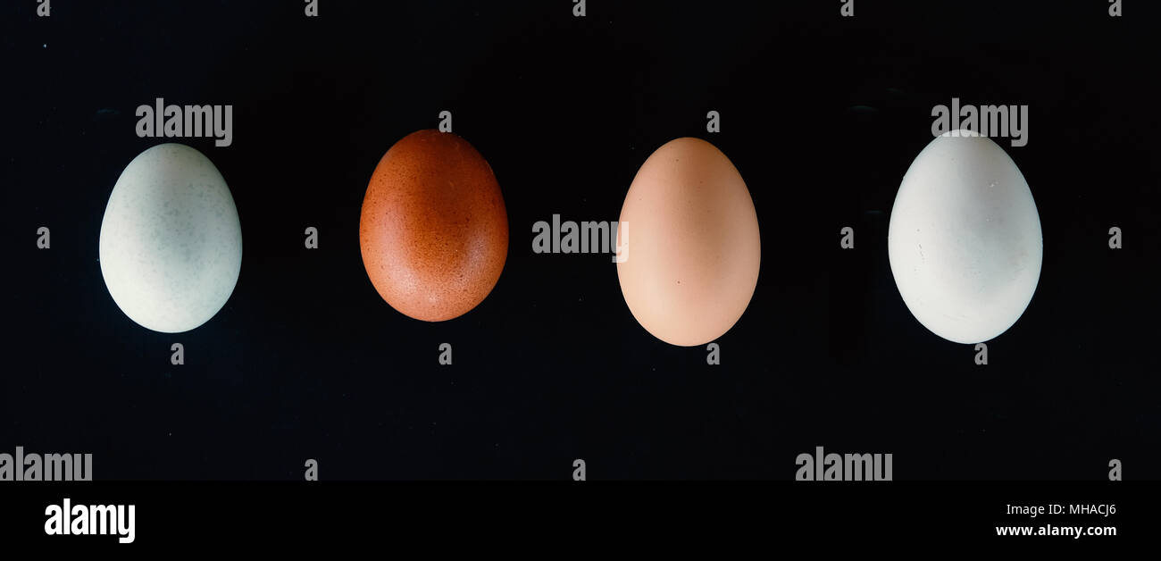 Käfig frei Bauernhof frisches Huhn Eier mit verschiedenen Farben auf schwarzem Hintergrund, Ansicht von oben. Stockfoto