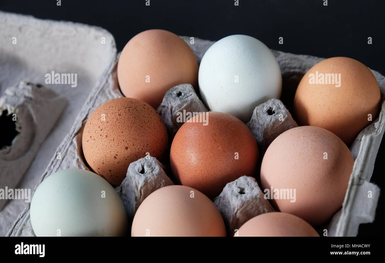 Bauernhof frische Eier im Karton auf schwarzem Hintergrund. Stockfoto