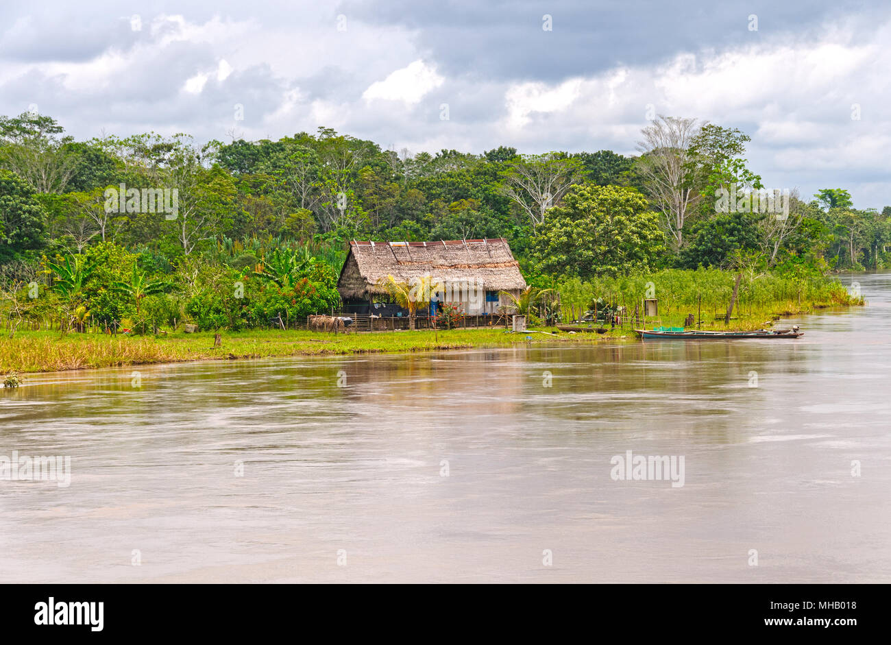 Native Farm entlang des Amazonas in Peru Stockfoto