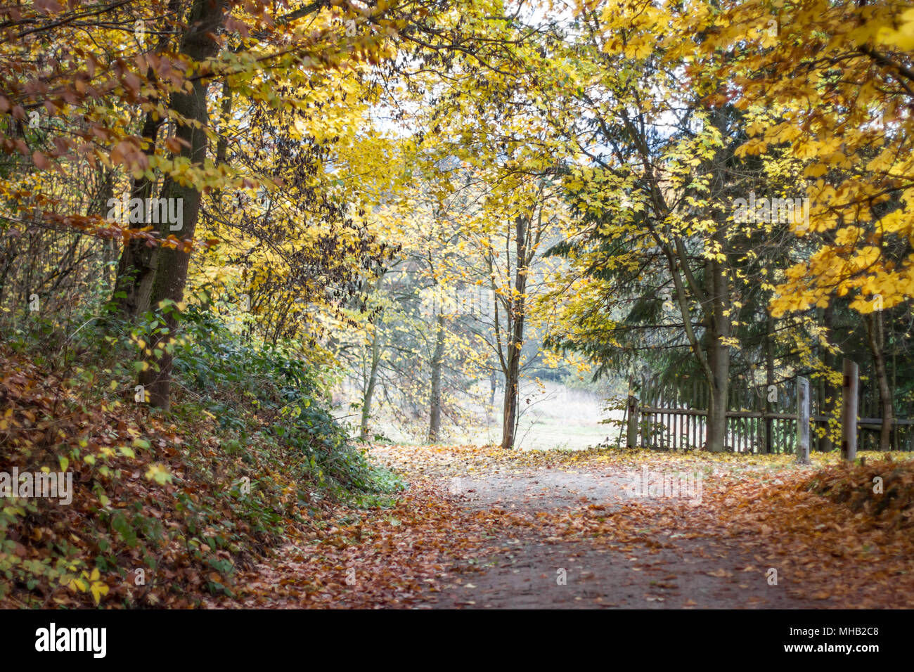 Mutter Natur an einem schönen Herbsttag Stockfoto