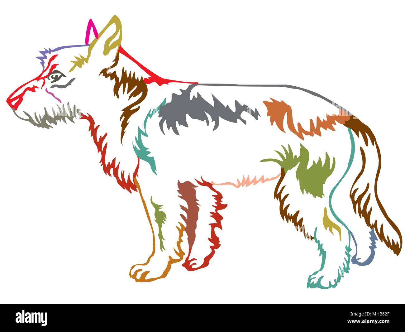 Bunte Kontur dekorative Portrait von ständigen im Profil Kabel Mantel portugiesische Podengo, Vektor isoliert Abbildung auf weißem Hintergrund Stock Vektor