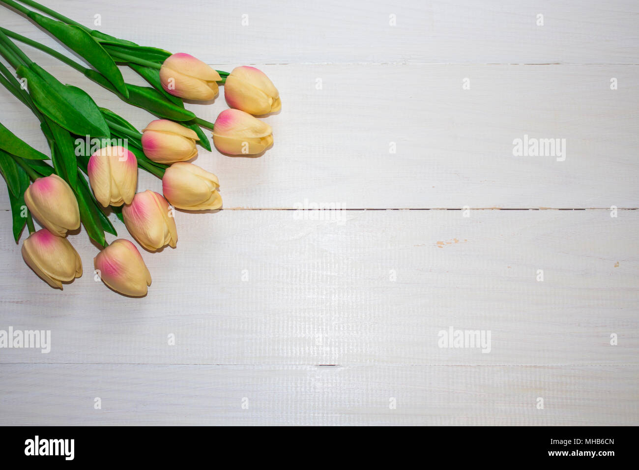 Mathers Tag. Gelbe Blumen auf weißem Holz- Hintergrund. Für Text platzieren. Stockfoto