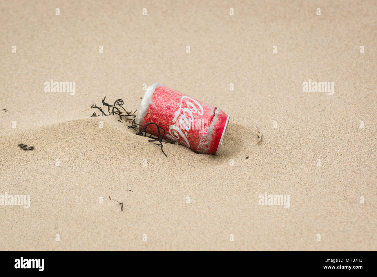 Ein Aluminium Coca Cola Getränk kann in Algen gewaschen liegen Oben am Harlech Beach ein Beispiel für den Müll Das Meer rund um Großbritannien Stockfoto
