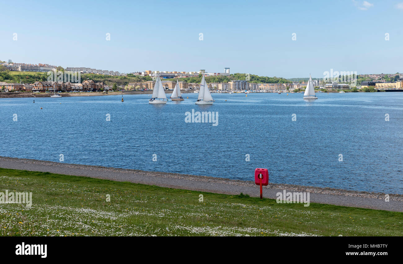 Die Cardiff Bay, South Wales, blick auf das Wasser an einem sonnigen Tag, mit Segelbooten Stockfoto