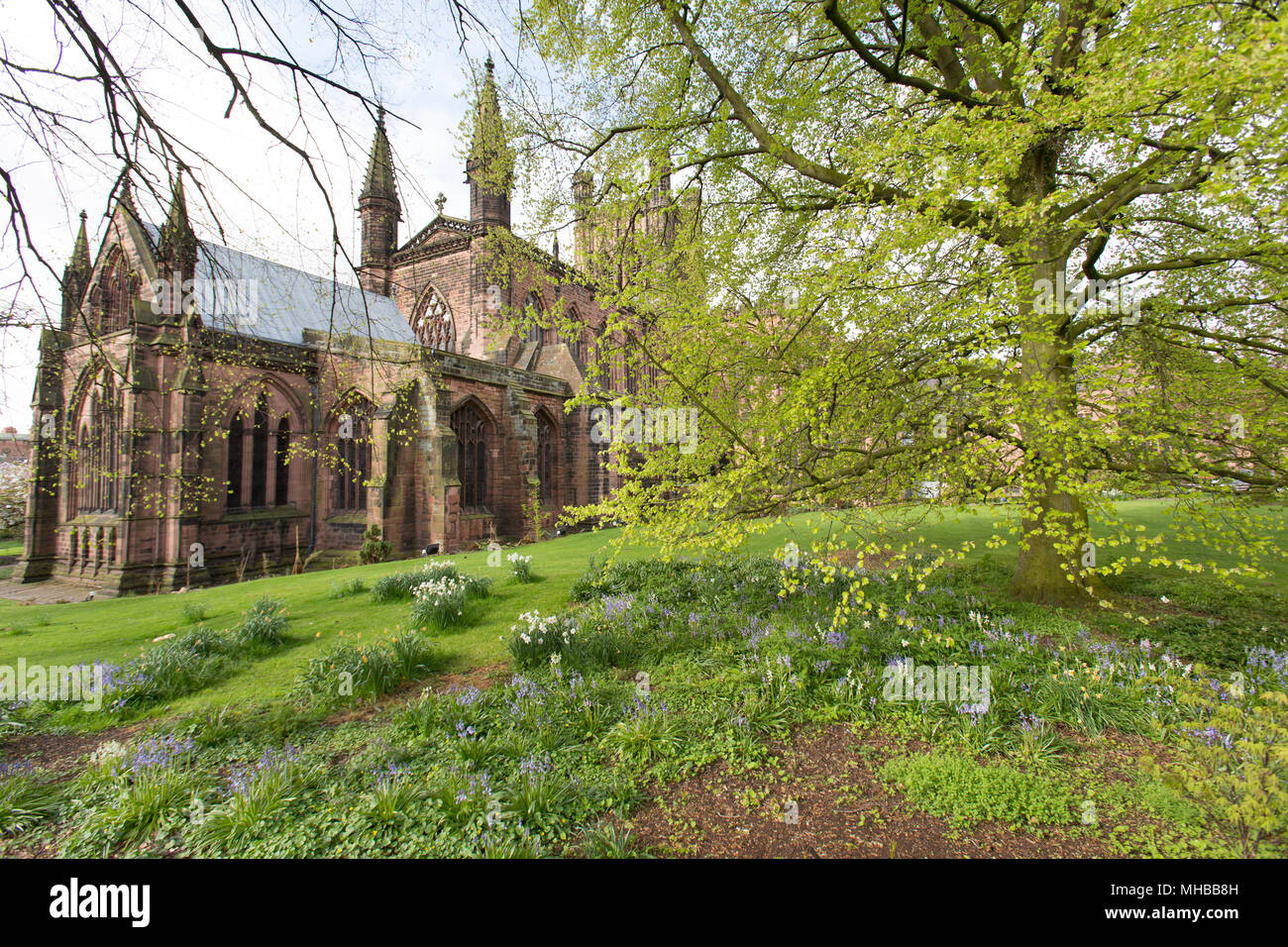 Stadt Chester, England. Malerische Frühling Blick auf den Süden und Osten Fassade der Kathedrale von Chester. Stockfoto