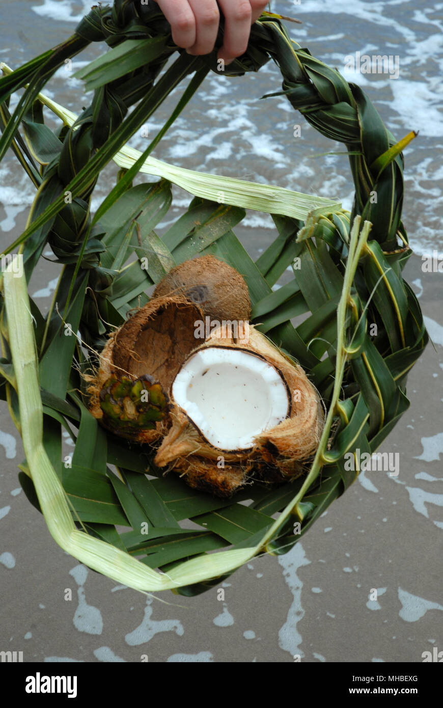 Geflochtener Korb aus Coconut Palm Blätter, Nadi, Fidschi. Stockfoto