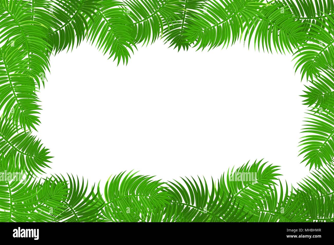 Sommer Dschungel palm leaf frame Stock Vektor