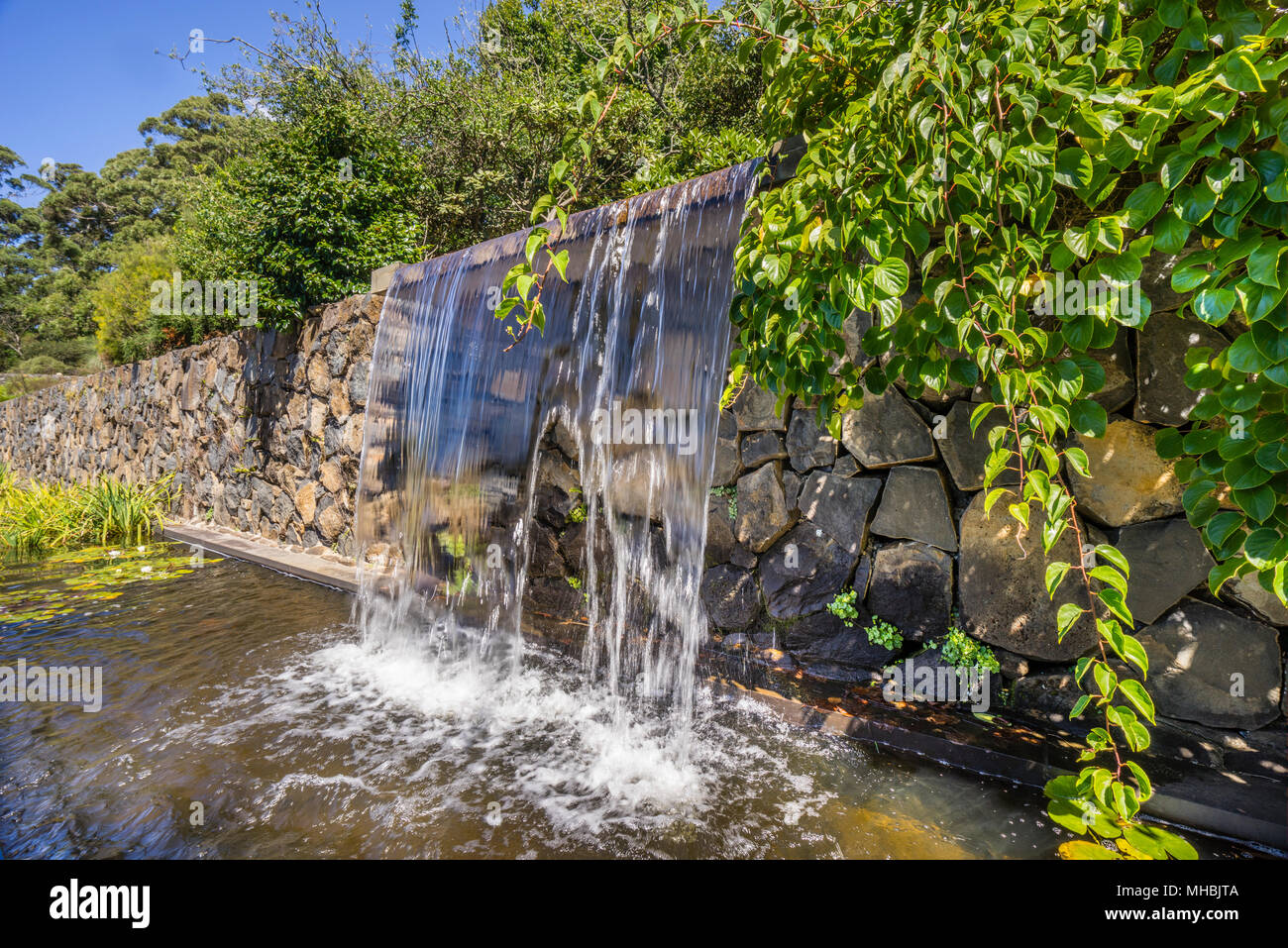 Wasservorhang im Blue Mountains Botanischer Garten, Mount Tomah, der 128 Hektar großen öffentlichen Garten, 1000 m über dem Meeresspiegel in kühlen Klima Pflanzen spezialisiert ist. Stockfoto