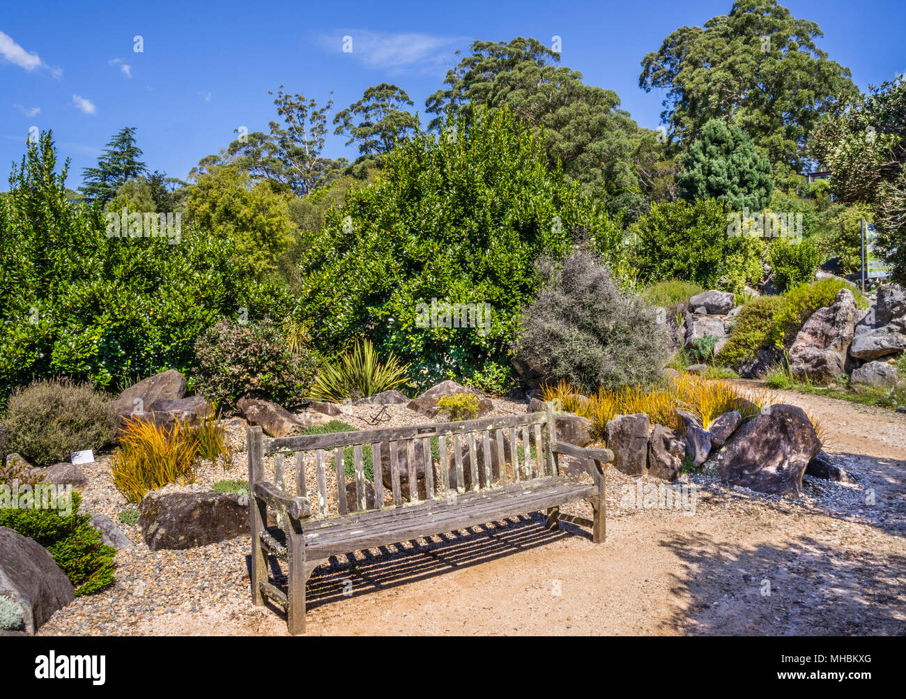 Bank in einer idyllischen Ecke von Blue Mountains Botanischer Garten, Mount Tomah, der 128 Hektar großen öffentlichen Garten, 1000 m über dem Meeresspiegel in kühlen spezialisiert - cl Stockfoto