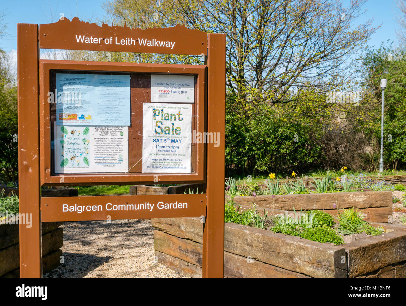 Balgreen Community Garden, Edinburgh, Schottland, UK by Water of Leith Conservation Trust mit erhöhten Blumenbeeten Stockfoto
