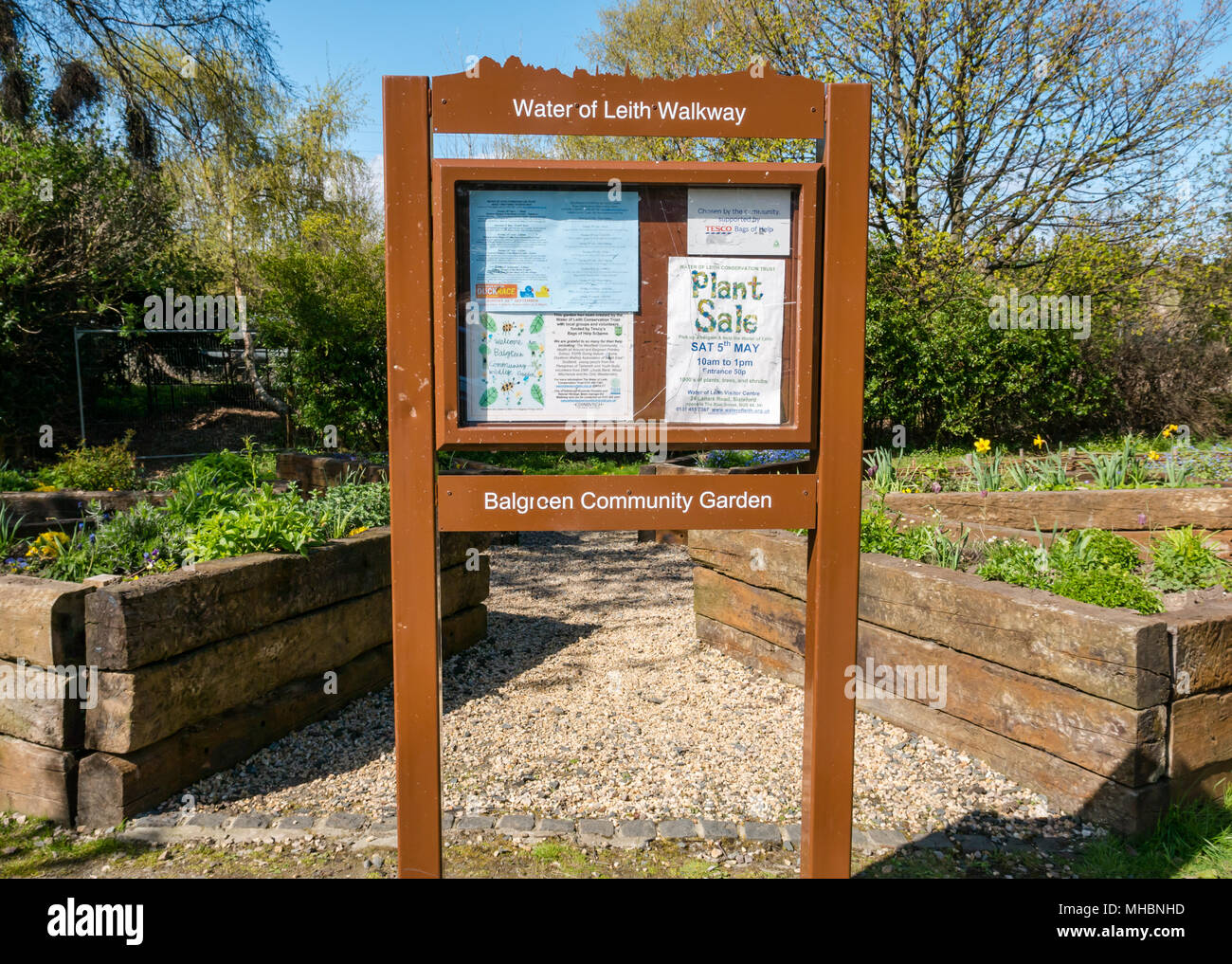 Balgreen Community Garden, Edinburgh, Schottland, UK by Water of Leith Conservation Trust mit erhöhten Blumenbeeten Stockfoto