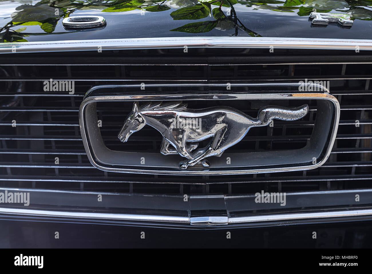 Symbol Kühlergrill Pferd Abbildung, Oldtimer Ford Mustang, Bayern, Deutschland Stockfoto