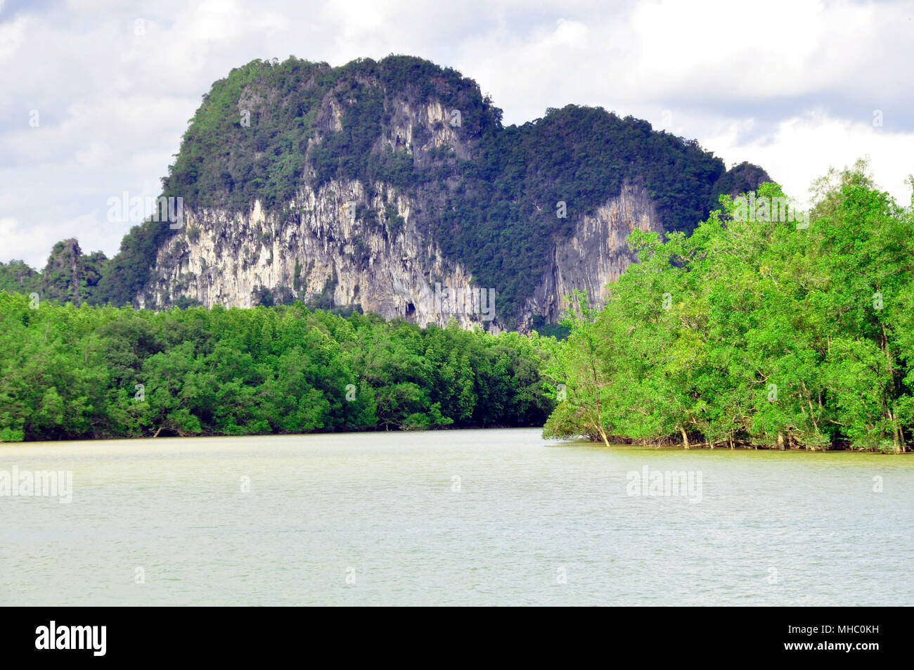 Die Küstenregionen der Insel Phuket sind durch Mangrovenwälder entlang der Küste geschützt, Thailand Stockfoto