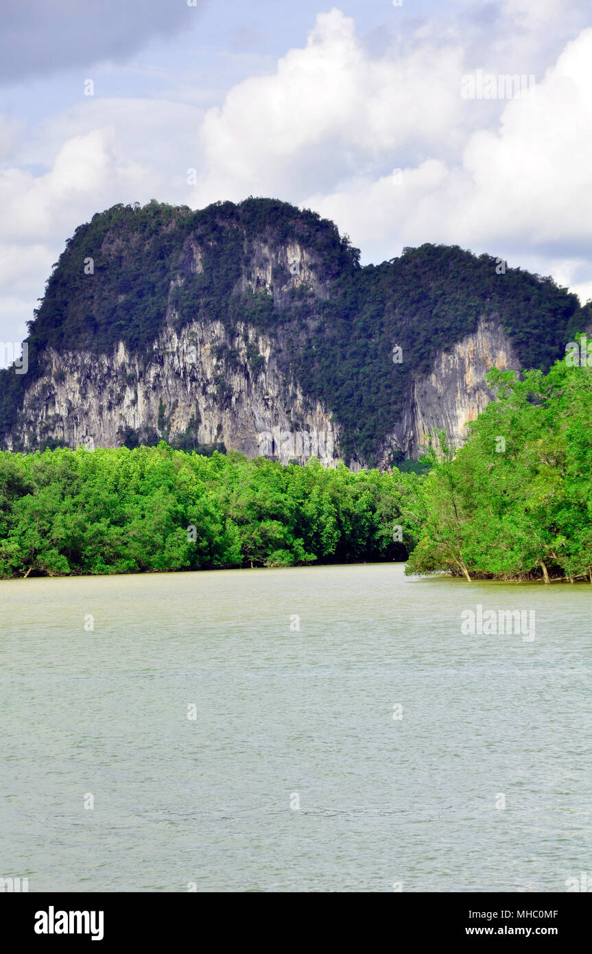 Die Küstenregionen der Insel Phuket sind durch Mangrovenwälder entlang der Küste geschützt, Thailand Stockfoto