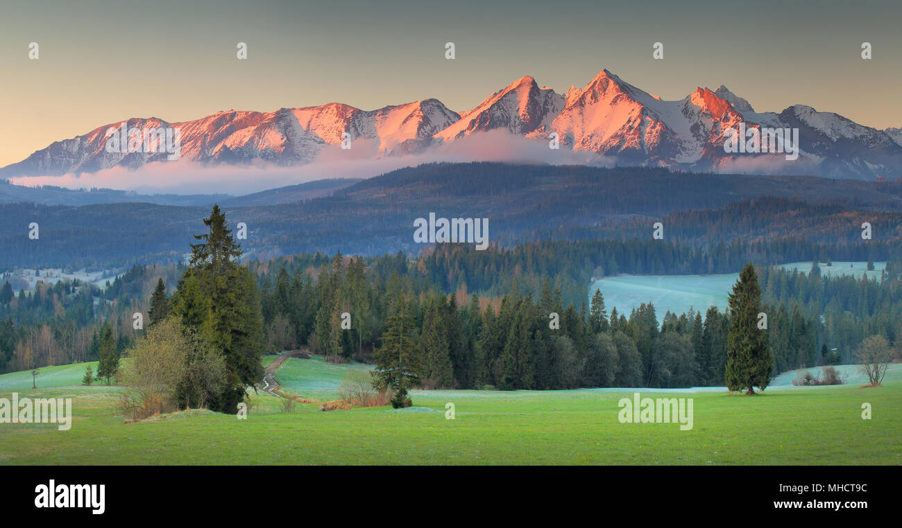 Panoramablick auf die Tatra mounains. Tatra in den Morgen. Schönen grünen Tal auf schneebedeckte Berge. Picturesgue morgen Landschaft. Stockfoto