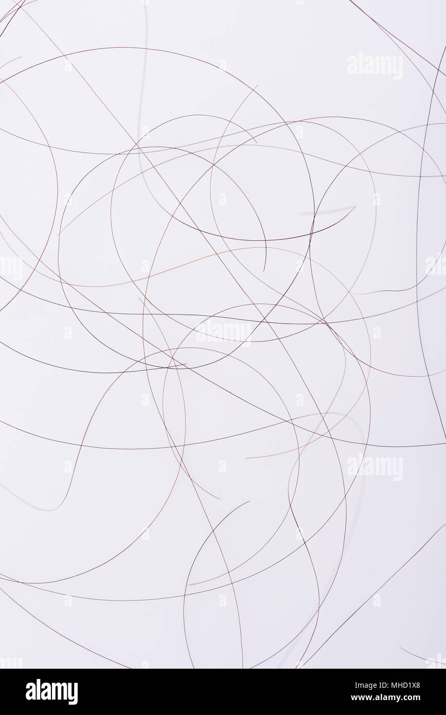 Curly menschliche Haare close-up auf weißem Hintergrund Stockfoto