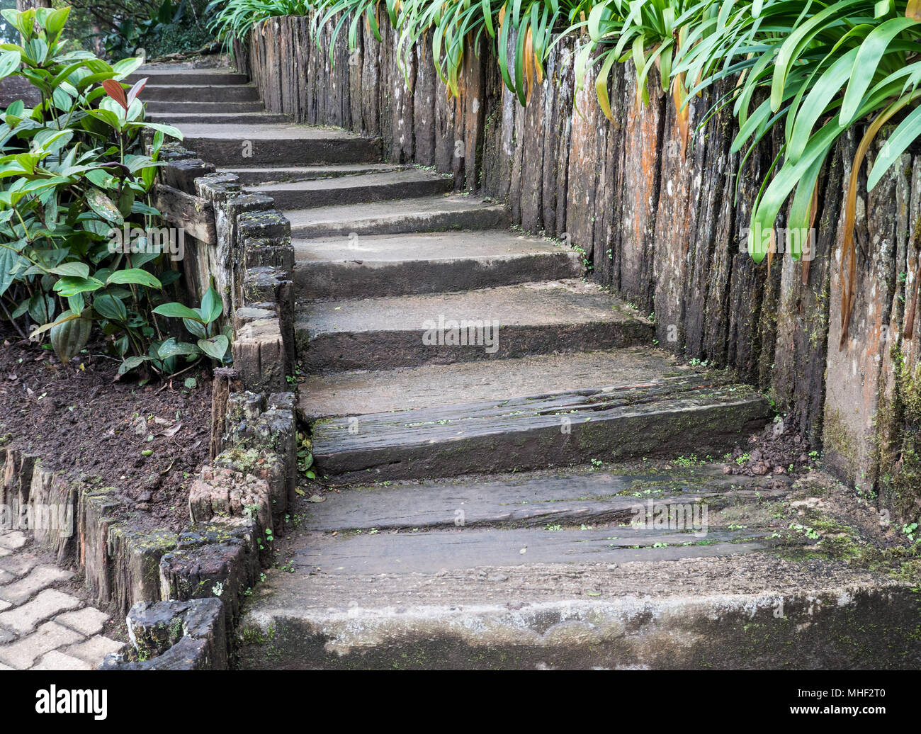 Beton Treppe Mit Der Holzzaun Zeile In Den Botanischen Garten
