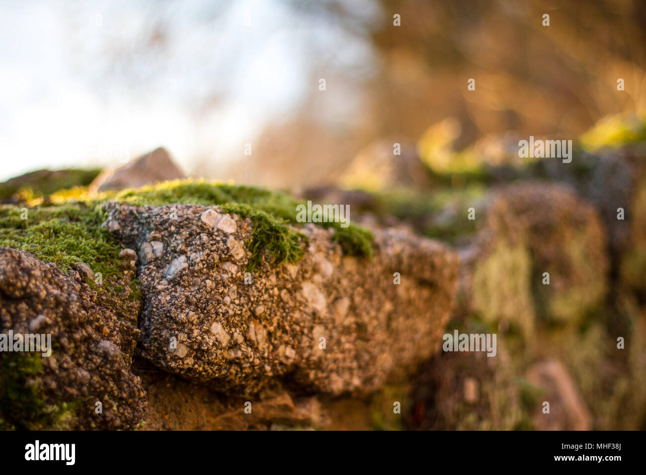 Friedhof Döllersheim Döllersheim (Friedhof), Waldviertel (Waldviertel), Österreich Stockfoto