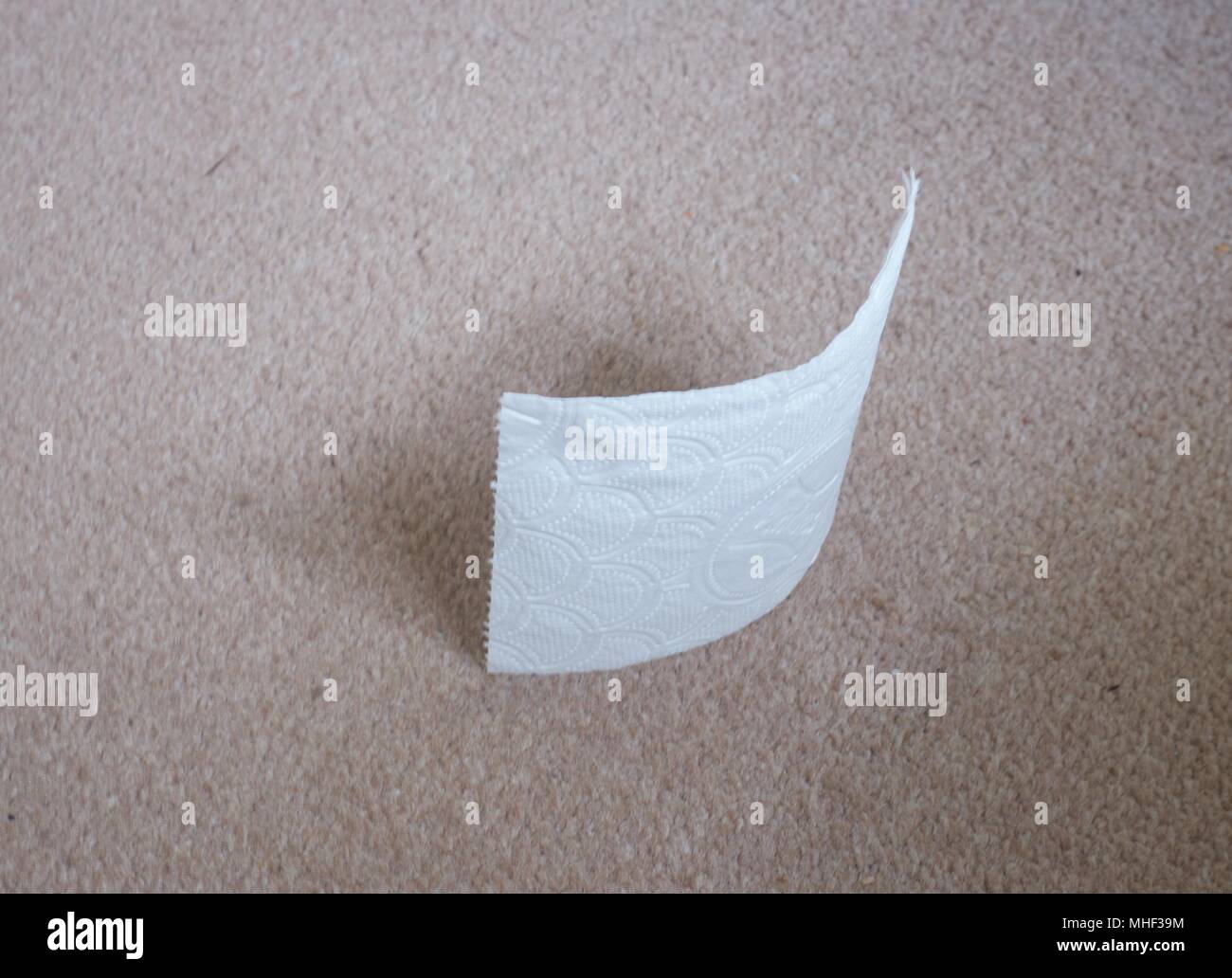 Ein Blatt Toilettenpapier aufrecht steht nach ca. 25 cm fallen gelassen wurde. Ein Laie würde erwarten, dass es flach fallen. Stockfoto