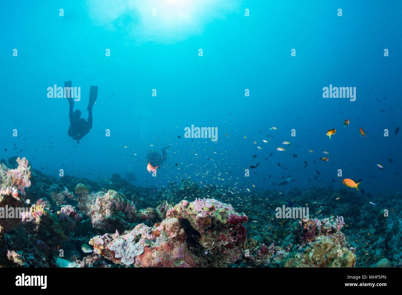 Malediven Korallen Haus für Fische Unterwasser Landschaft Stockfoto