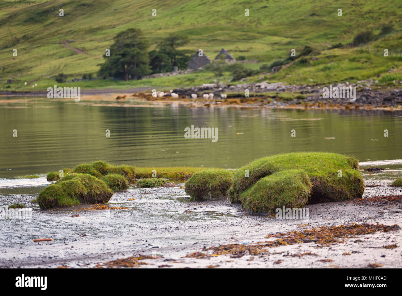 Loch Eynort Stockfoto