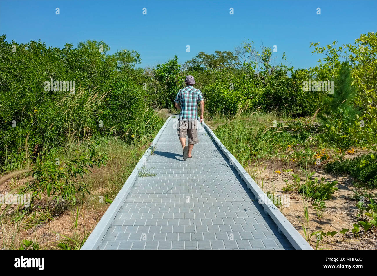 Mann zu Fuß auf der Mangrove Boardwalk East Point Reserve in Darwin, Northern Territory, Australien. Stockfoto