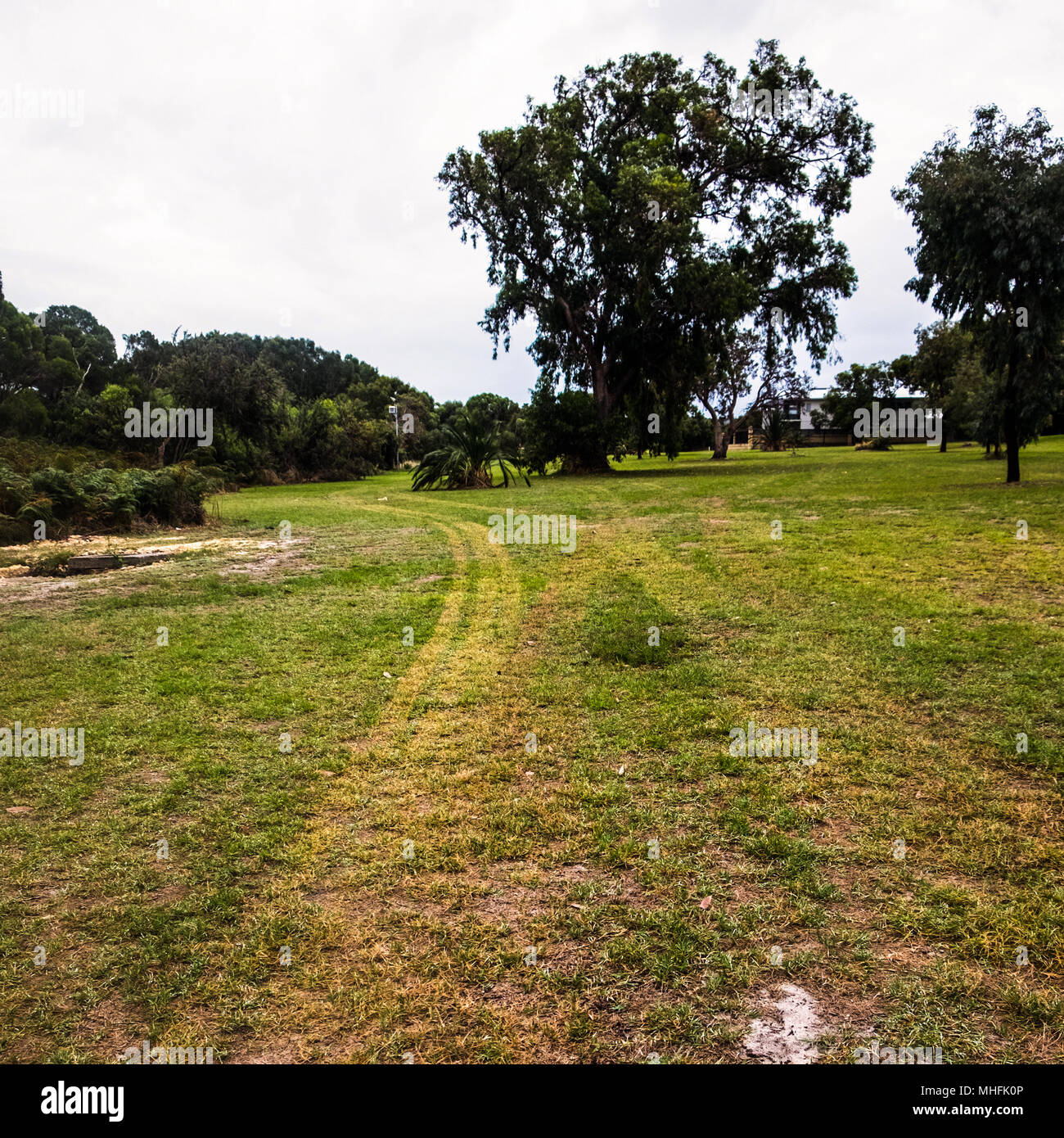 Yellagonga gemeinsamen Spaziergang um den Lake Joondalup Wanneroo W. Australien Stockfoto