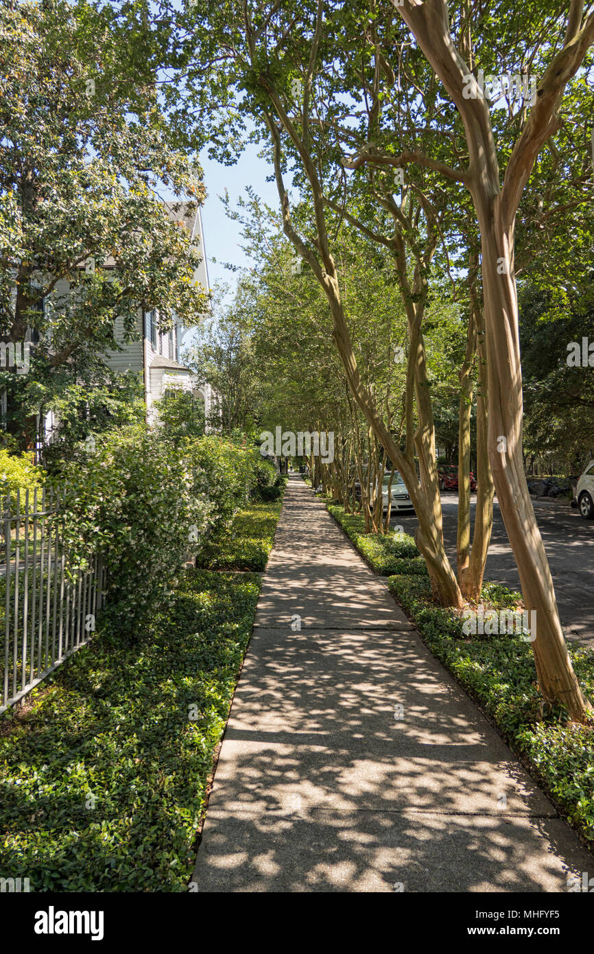 Traditionelles Haus in New Orleans Garden District an sonnigen und schattigen Straße im Frühjahr Stockfoto