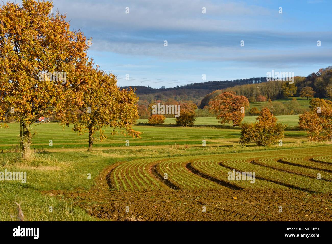 Herbst Ackerland in den Cotswolds Stockfoto
