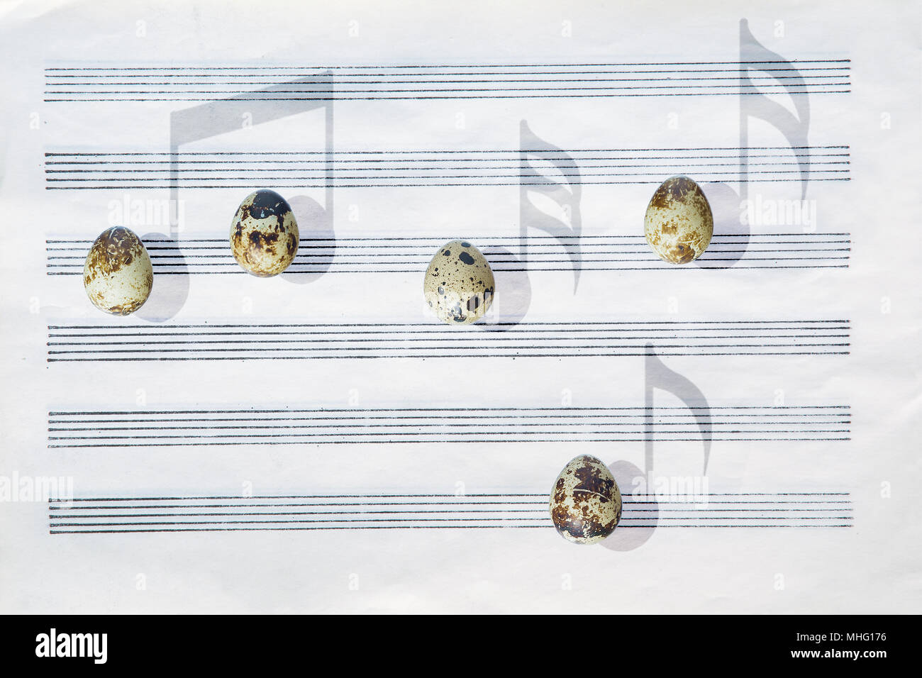 Japanische Wachtel Eier vor einem leeren 6-stab Musik Papier sind Casting Shadows in der Form von Noten. Stockfoto